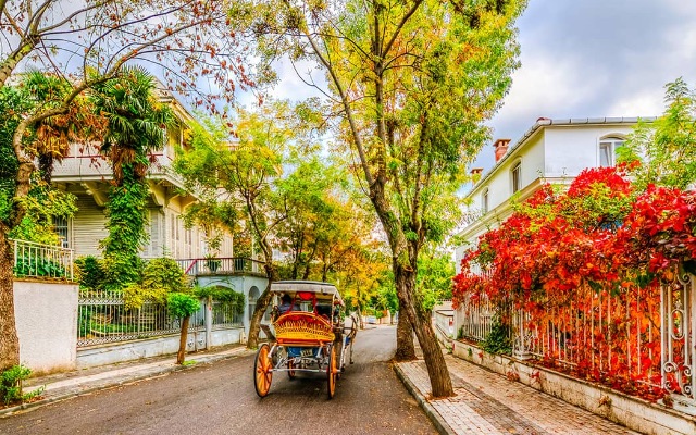 プリンスアイランド